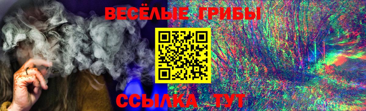 Галлюциногенные грибы MAGIC MUSHROOMS Углич