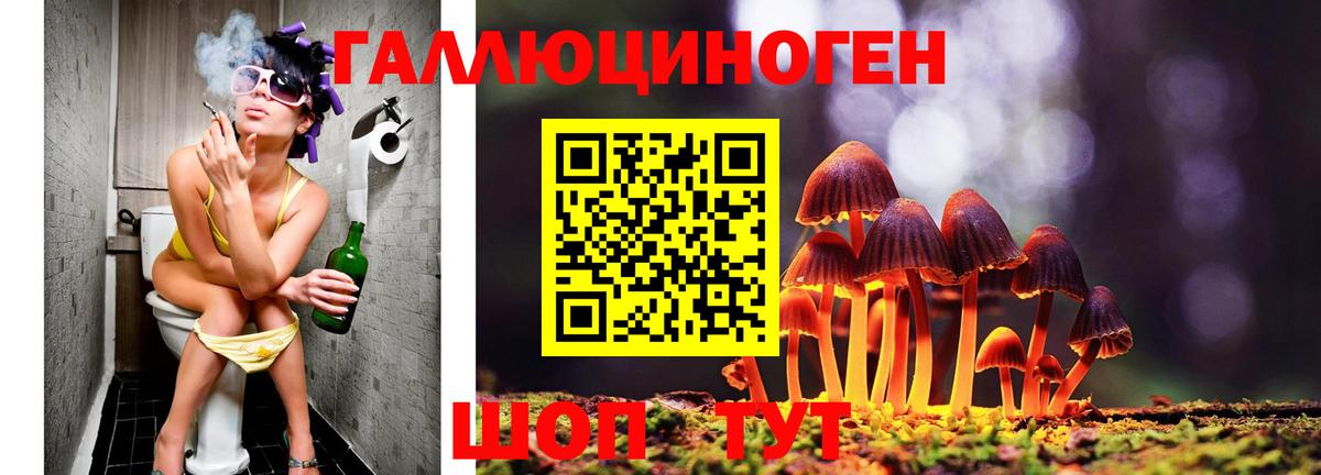 Углич  Галлюциногенные грибы Magic Shrooms  Псилоцибиновые грибы MAGIC MUSHROOMS  Вход с VPN 